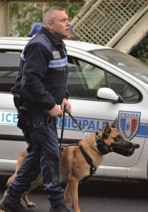 received_1149654151765976petit