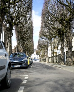 25960762116_7ffe51ee8f_k-2