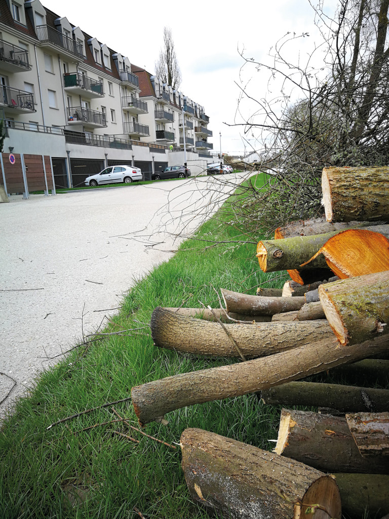 Chemins de Seine On fait place nette !