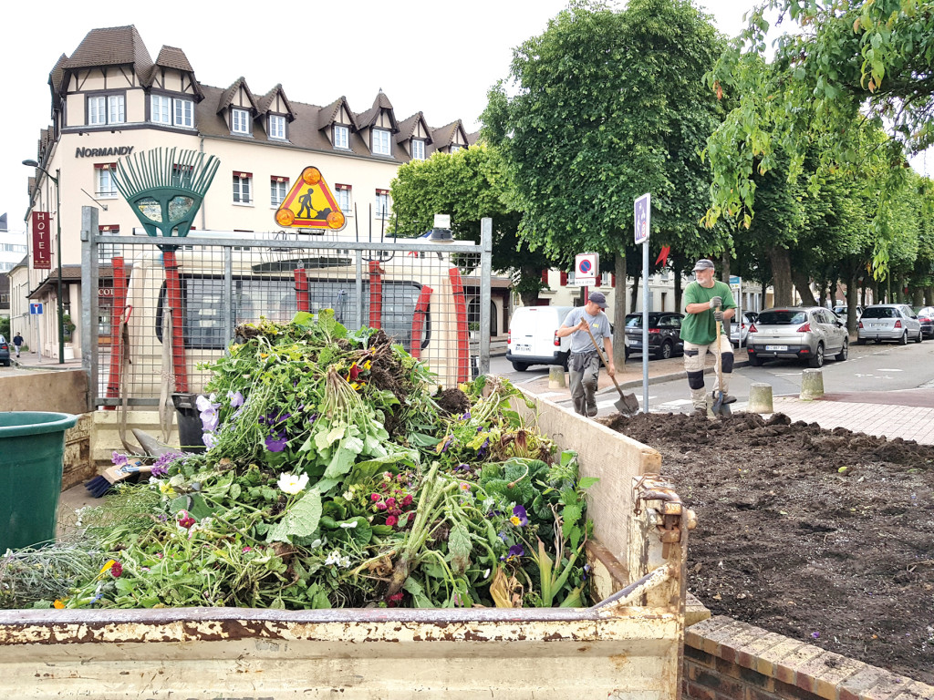 De la serre aux massifs, l’équipe des espaces verts crée des merveilles naturelles pour les yeux.