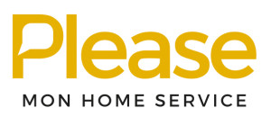 Les chiffres depuis le lancement 1100 Inscriptions 20 Commerçants partenaires