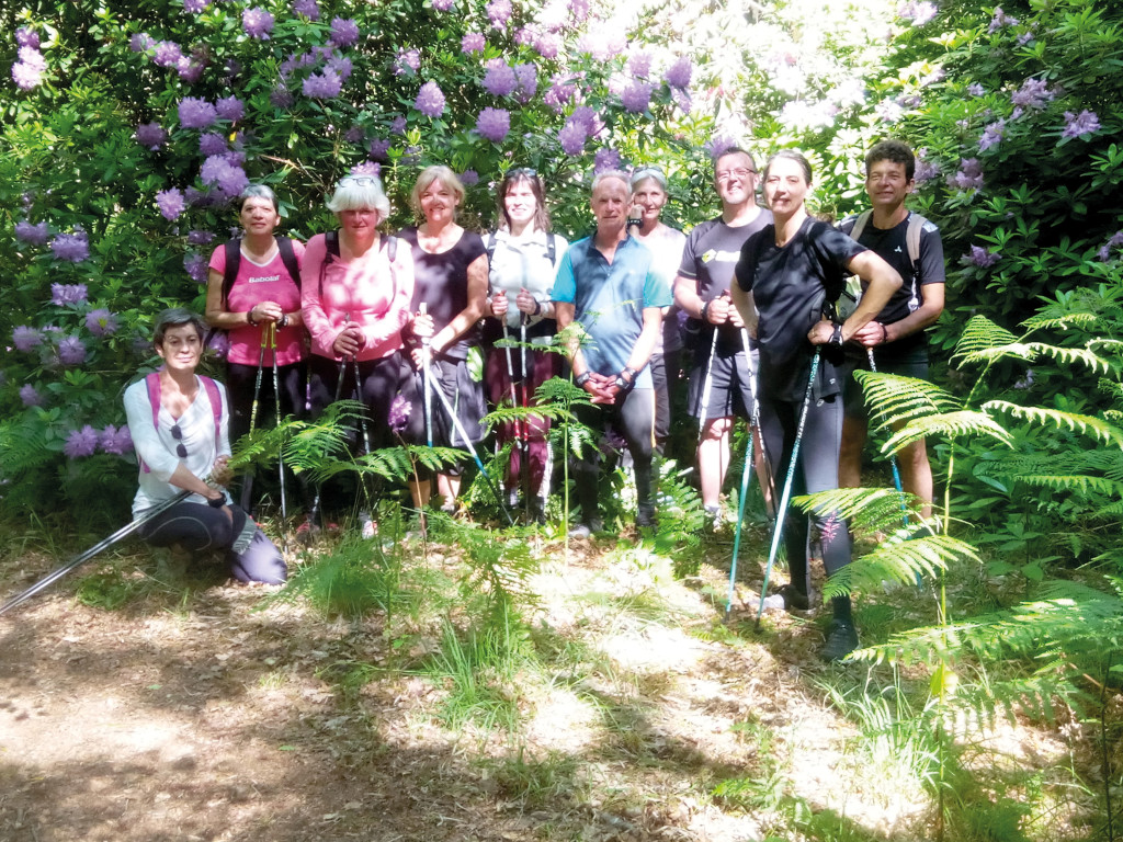 La marche nordique : une discipline très complète associée au bien-être