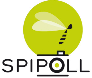 Devenir acteur dans un programme de sciences participatives, ça vous tente ? Le suivi des insectes pollinisateurs Spipoll est fait pour vous ! Si vous avez un appareil photo numérique, si vous aimez les insectes et si vous êtes soucieux de la biodiversité, c’est à vous de jouer… L