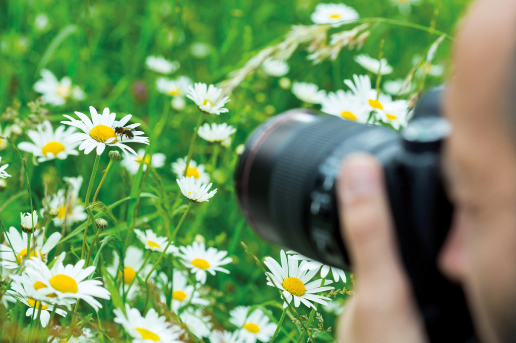 AVEC SPIPOLL, DEVENEZ UN PAPARAZZI DE LA BIODIVERSITé à VERNON !