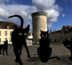 En 1566, plusieurs Vernonnaises sont accusées de sorcellerie.