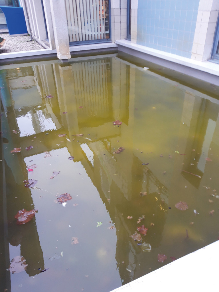 Un jardin zen à l’entrée de l’EPA