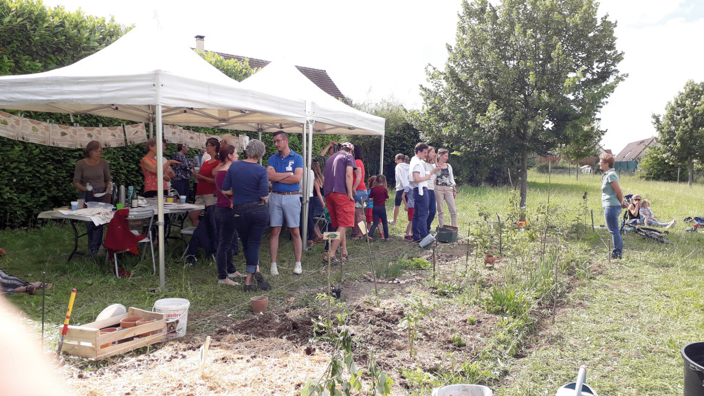 Moins de bitume, plus de légumes !