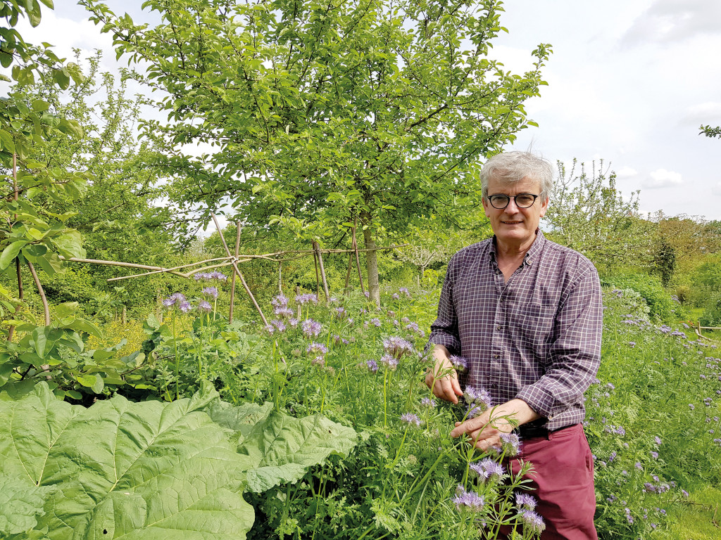 L’agriculture de conservation des sols permet de les protéger et de les faire revivre
