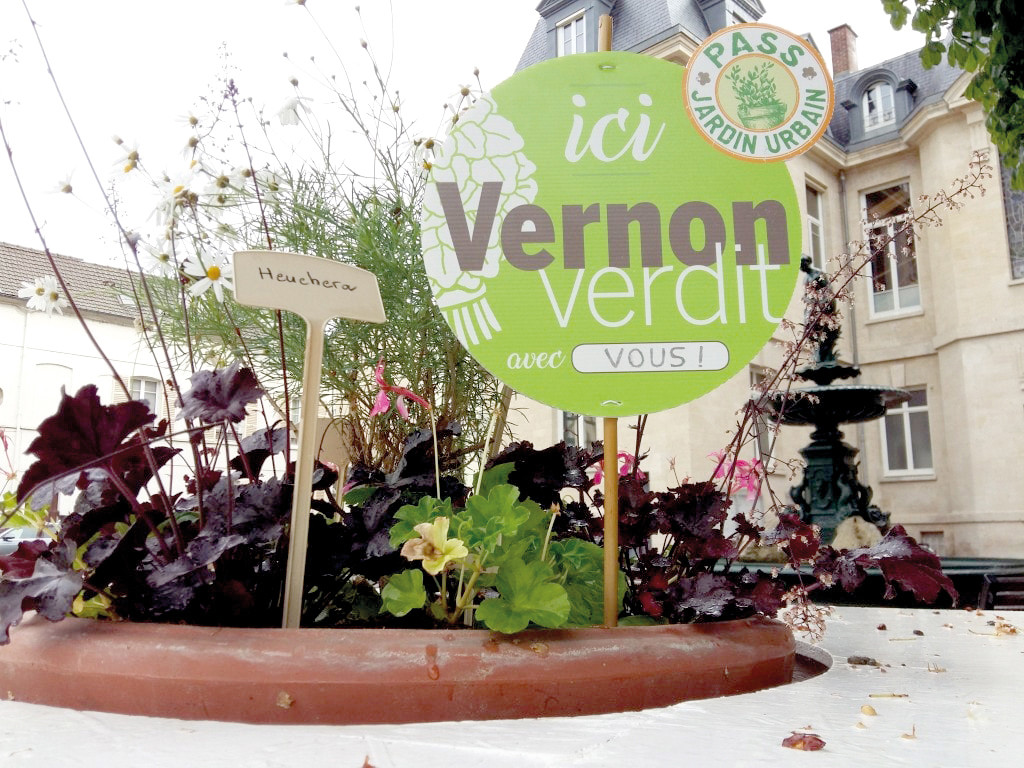 Vernon Verdit