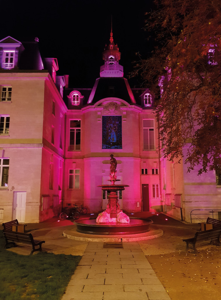 A l’occasion d’Octobre Rose, le mois de sensibilisation autour du cancer du sein, plusieurs monuments emblématiques de Vernon sont illuminés de cette couleur. Pendant un mois, l’hôtel de ville, le Vieux Moulin et la Tour des archives se parent de cette lueur d’espoir.