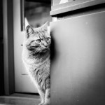 Grand Angle Chachou-18