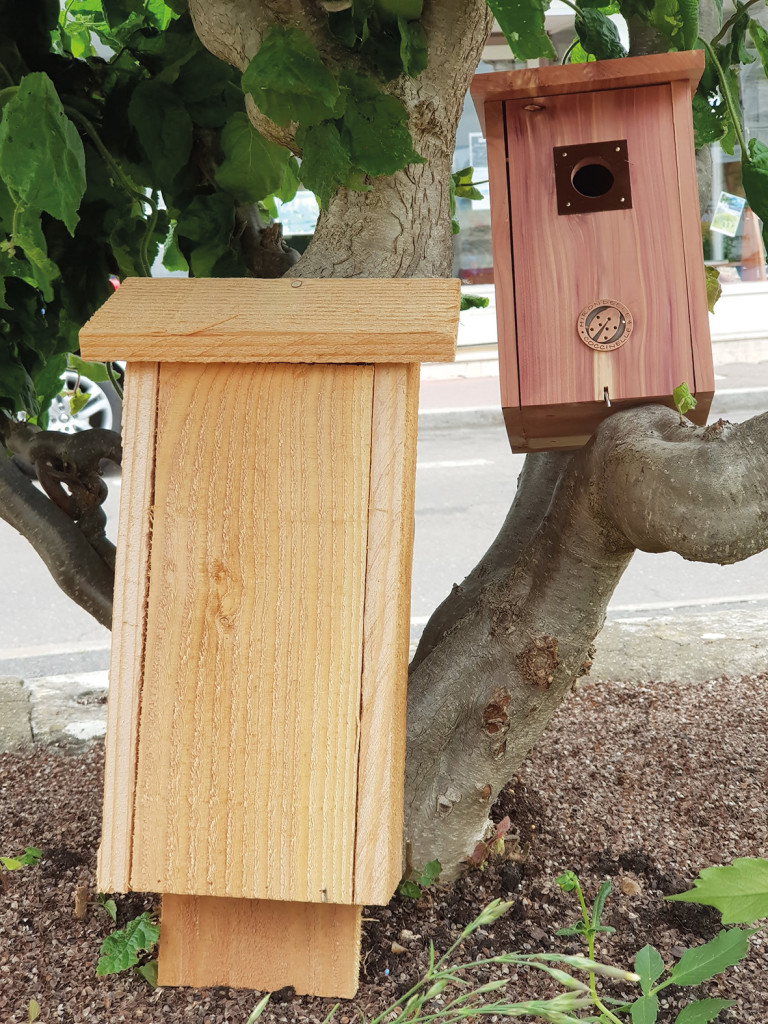 Photo démocratie participative nichoirs