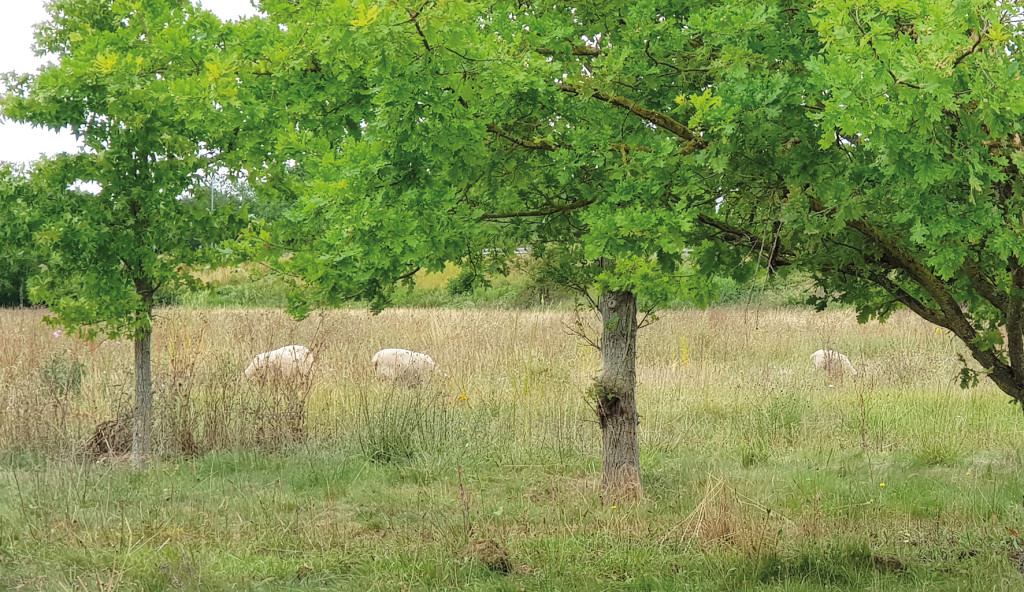 20200630_140437(1)1593597390612