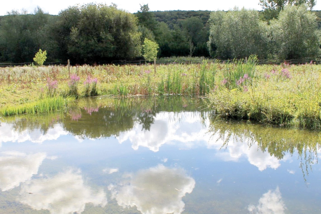 Département de l_Eure Préservation Mare Biodiversité Ecologie Nature