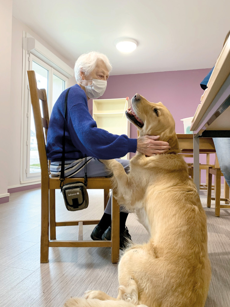 Grand Angle Médiation Animale