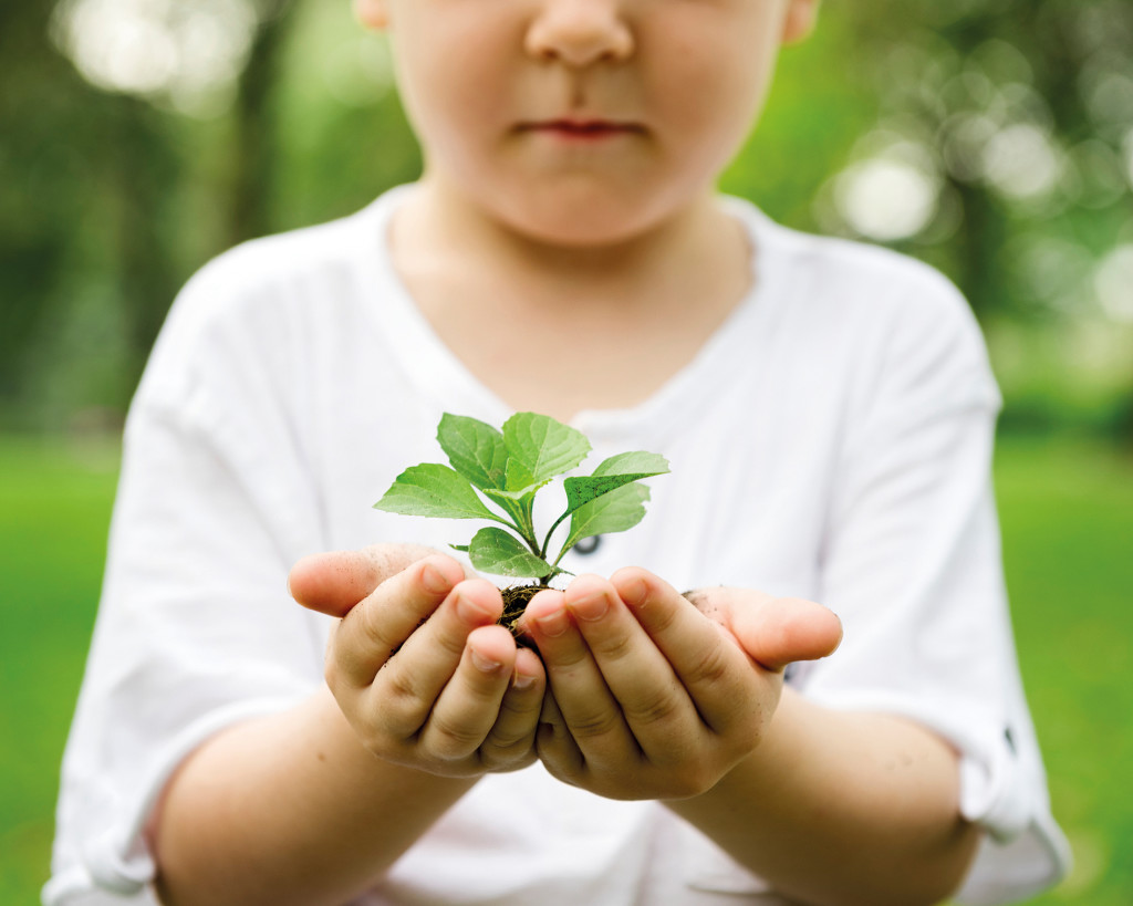 Little boy holding soil and plant in the park