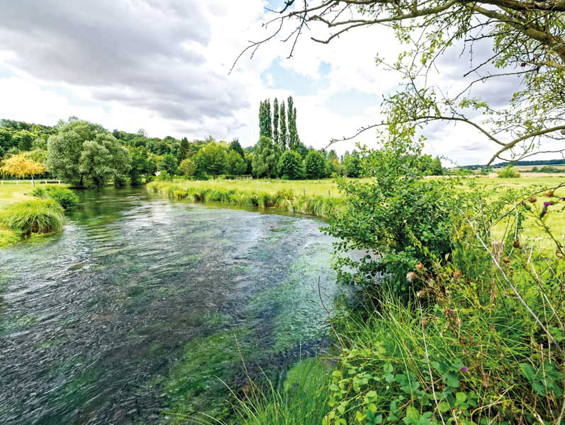 (remplace) SNA Natura 2000 Animation Gestion Grottes du Mont Roberge Valle¦üe de l_Epte