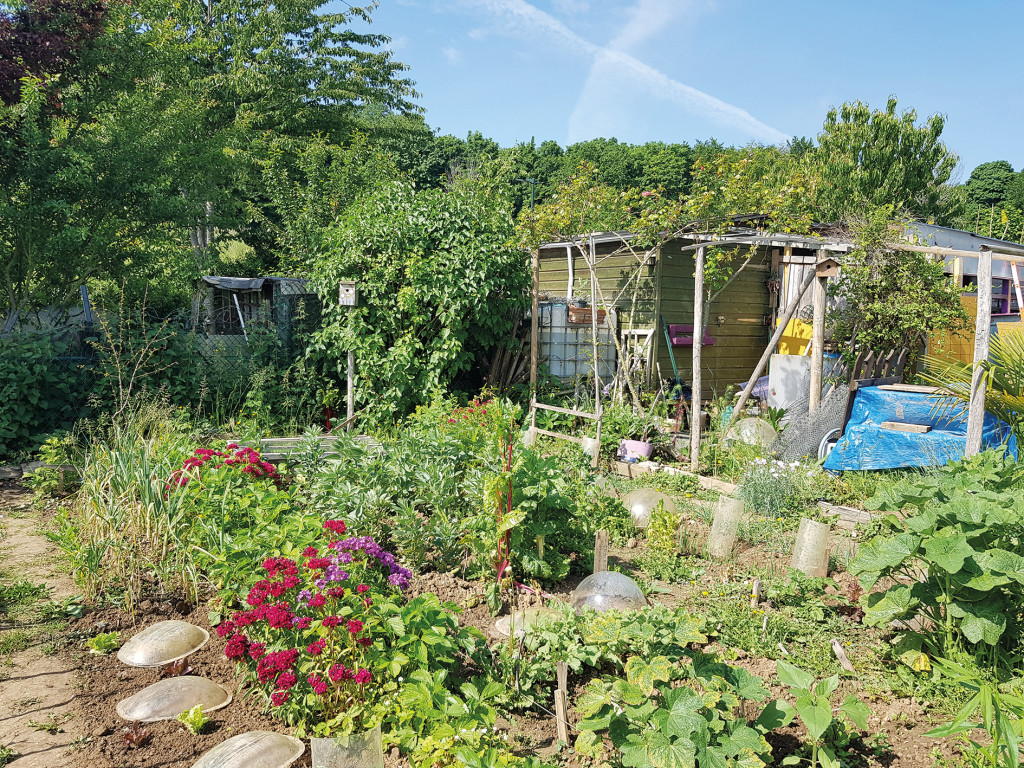 Jardins Familiaux Prix 2021 du plus beau jardin belle girouette Valmeux