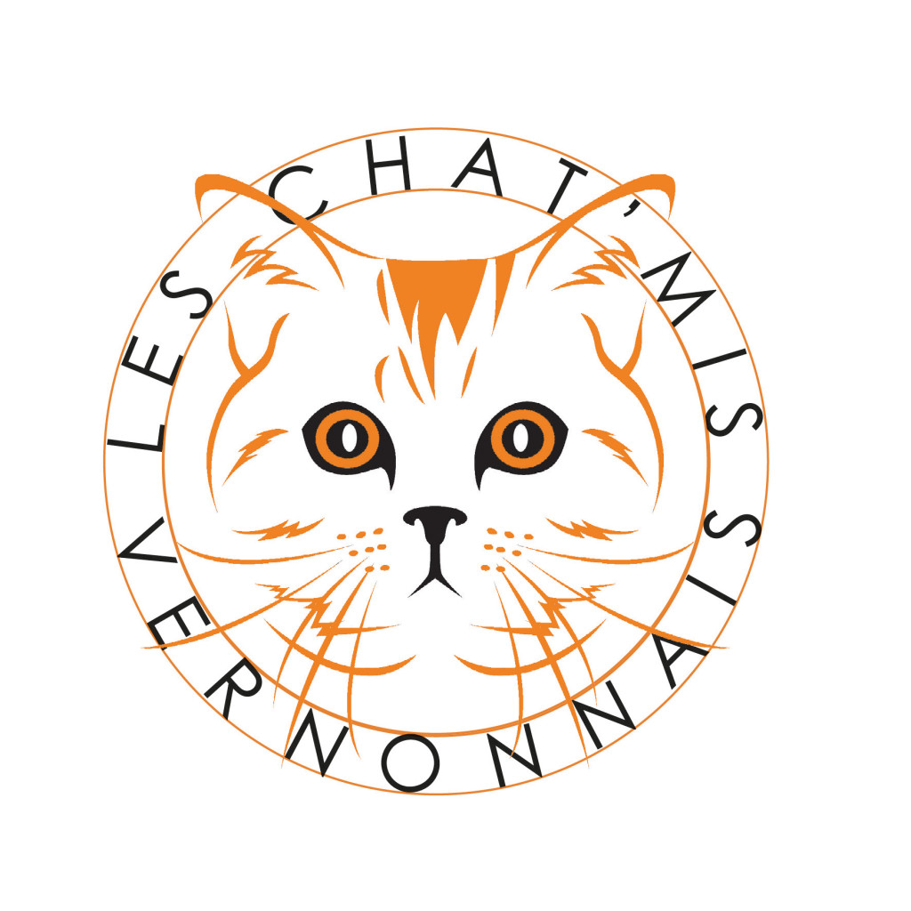 Association Les Chatmis Vernonnais Nouvelle Asso Chats Errants Animaux Stérilisation