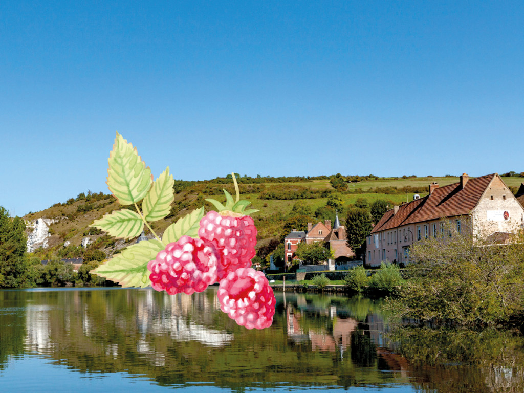 Visuels-TIS-1200x900----VD