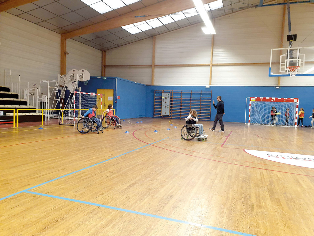 CD27 Grande Enquête Sport et Handicap