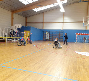 CD27 Grande Enquête Sport et Handicap