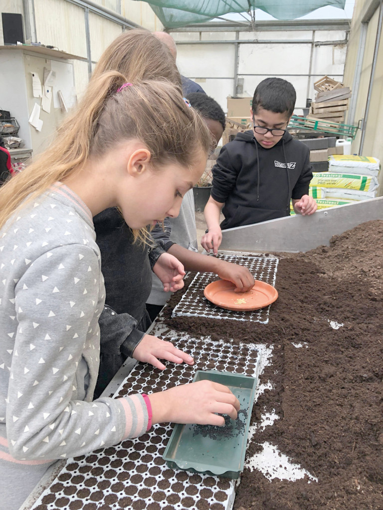 Démocratie Particiaptive Du Jardin à l'Assiette Saison 2 Jardins Familiaux
