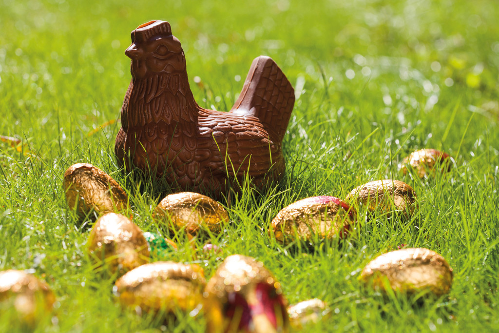 Eggs and chocolate hen in the grass