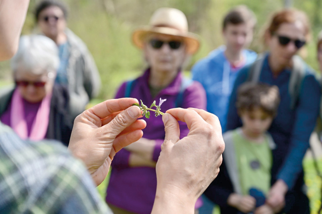 CD27 Découvrez la Nature dans l_Eure 2022 Animations Gratuites Mai Octobre