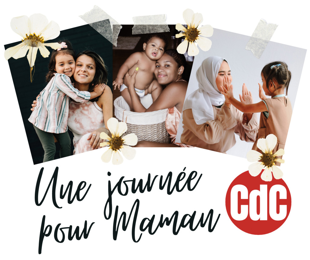 Rose Floral Féminin Scrapbook / Montage Général Vœux Fête d