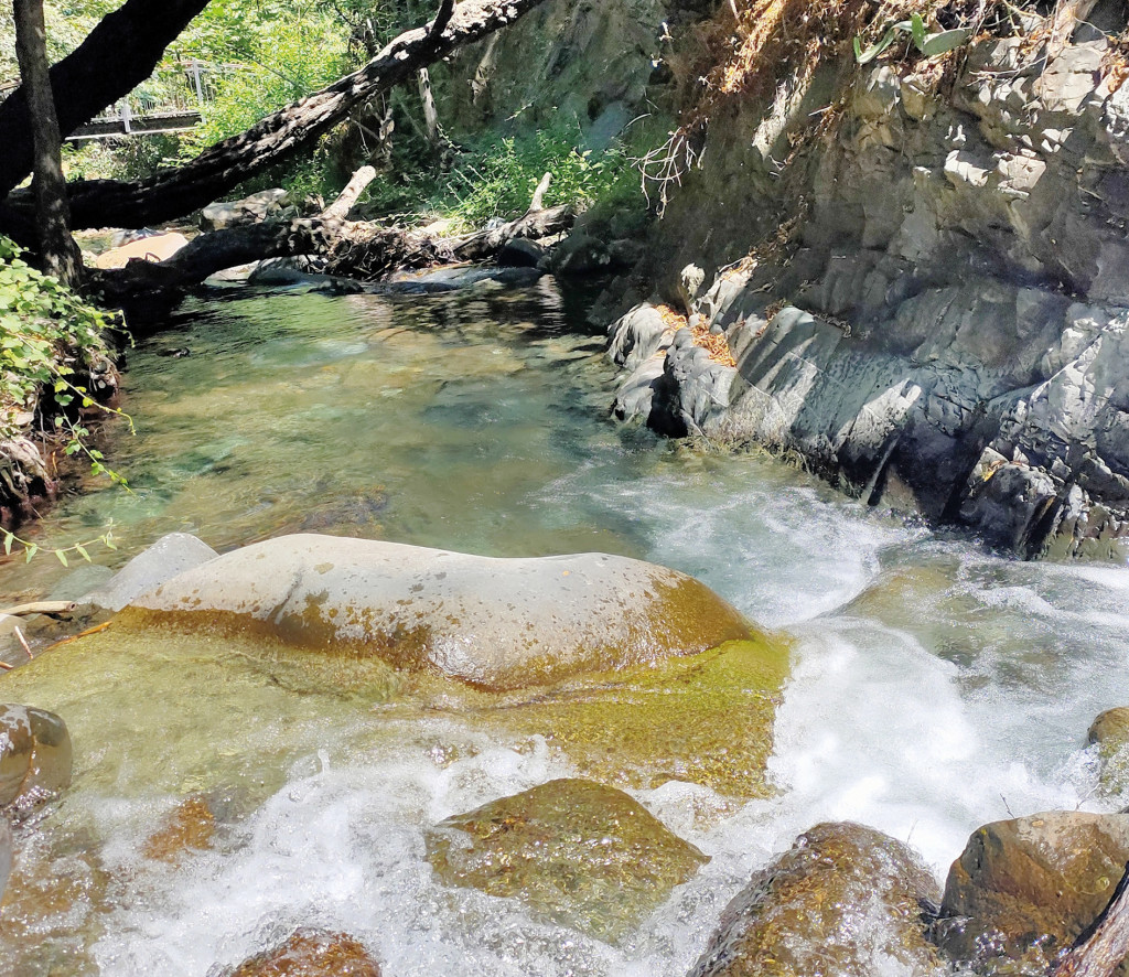 Rappel Riverains Entretien Obligatoire Sources Cours d_Eau