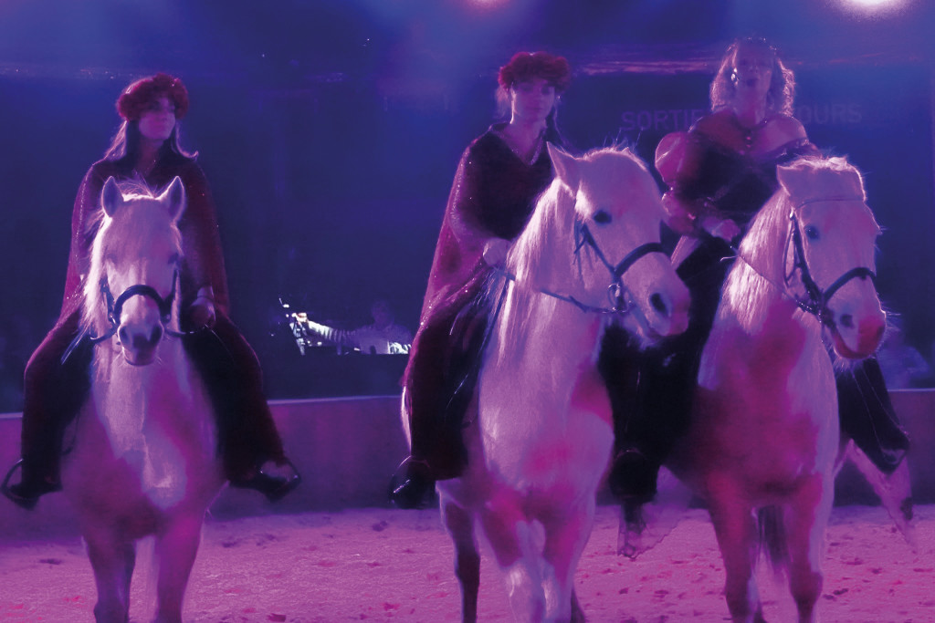 Office de Tourisme Spectacle Equestre Mélusine et le Royaume Perdu Pacy sur Eure