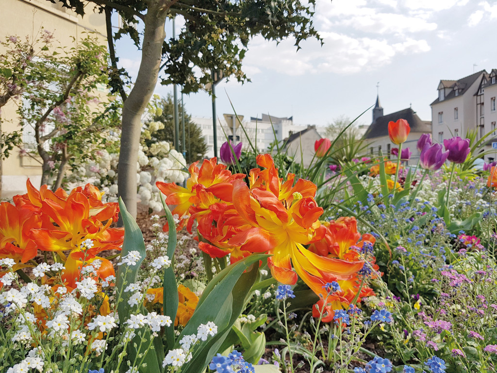 Nouvelle Photo 3 Fleurs Vernon Toujours plus Verte