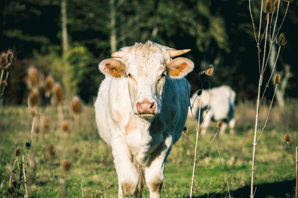 CD27 Green Quizz Questionnaire Transition Ecologique Plan Eure Verte Nature