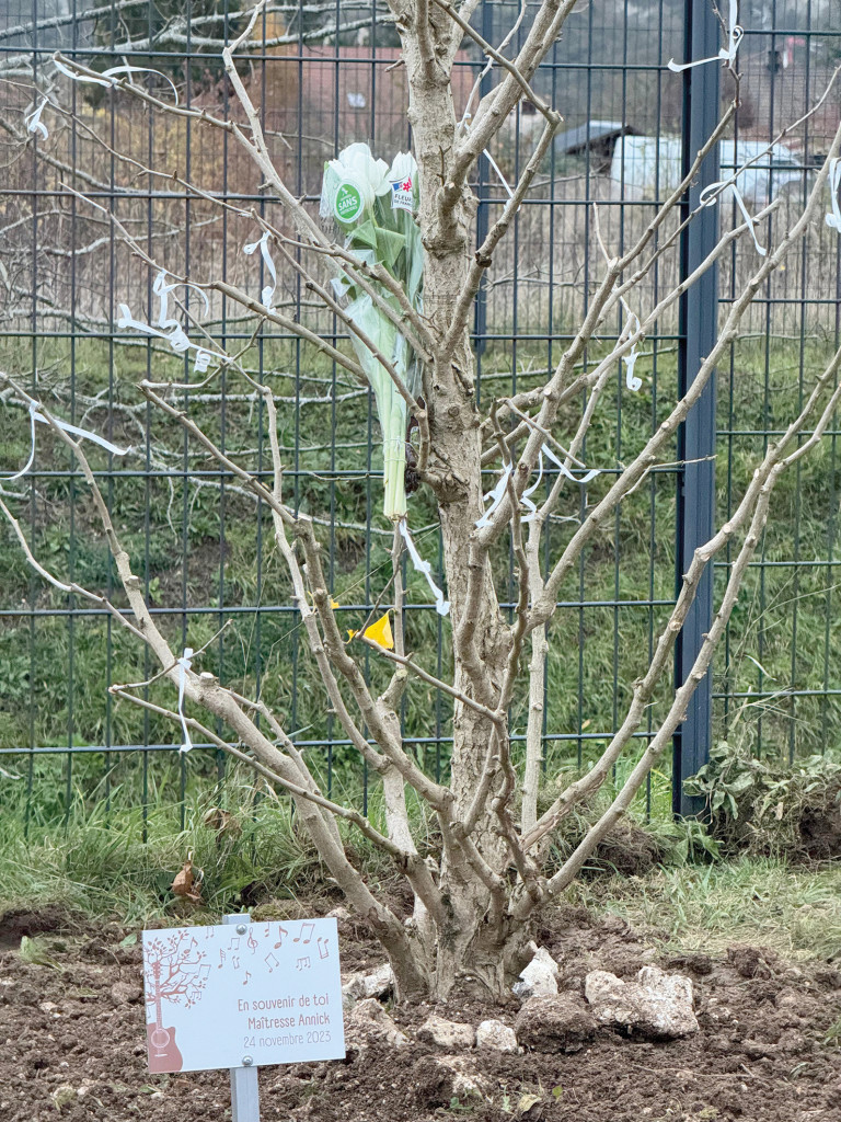 Plantation Arbre François Mitterrand Souvenir Maîtresse Annick Le Cras Décès CHAM