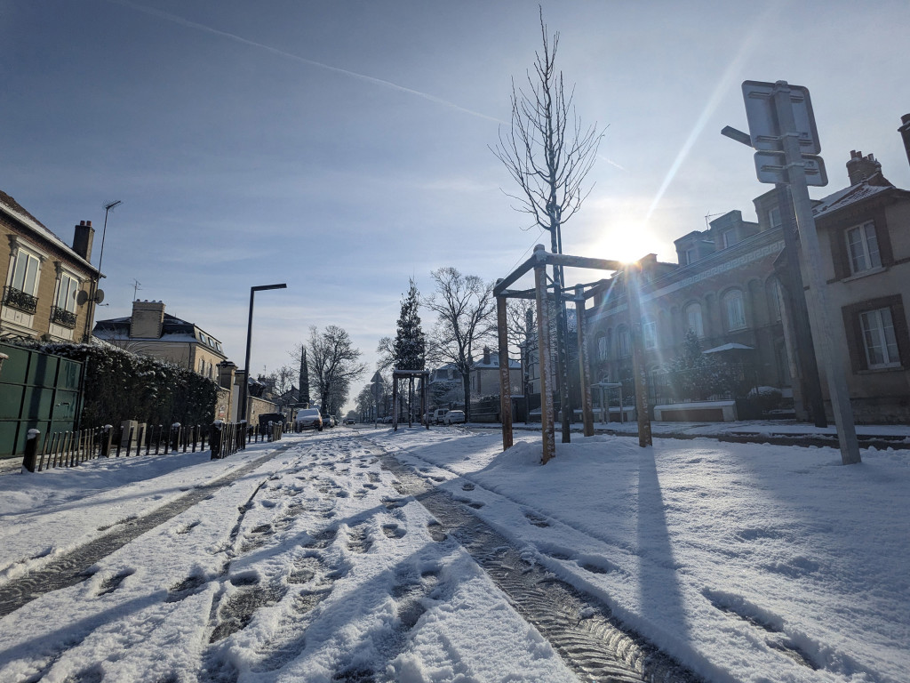 Végétalisation Avenue de Paris Boulevard Urbain Vert Développement Durable Ecologie