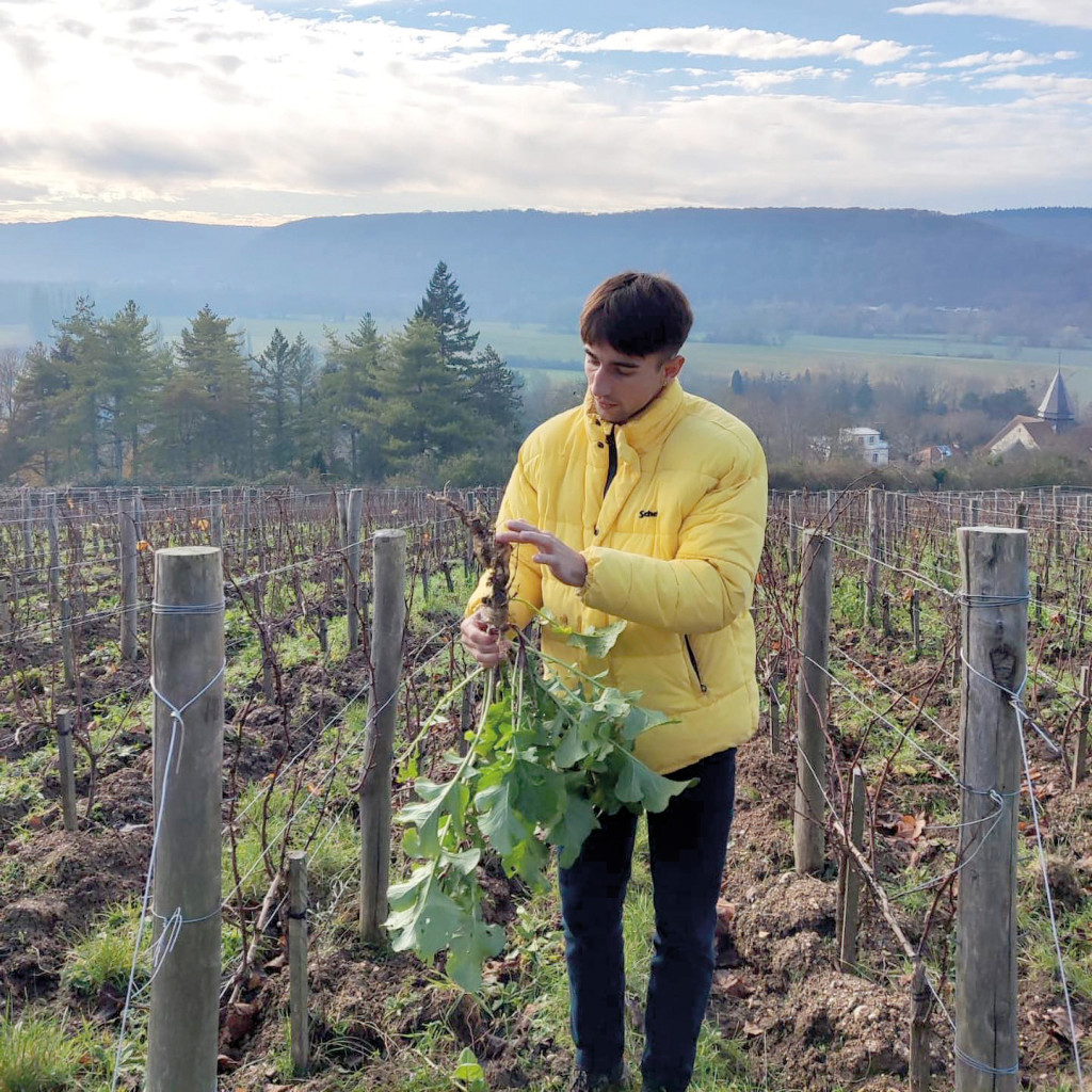 Office de Tourisme Une Journée Normande Coteaux Seine Vignoble Giverny Camille Ravinet 13 avril 2024
