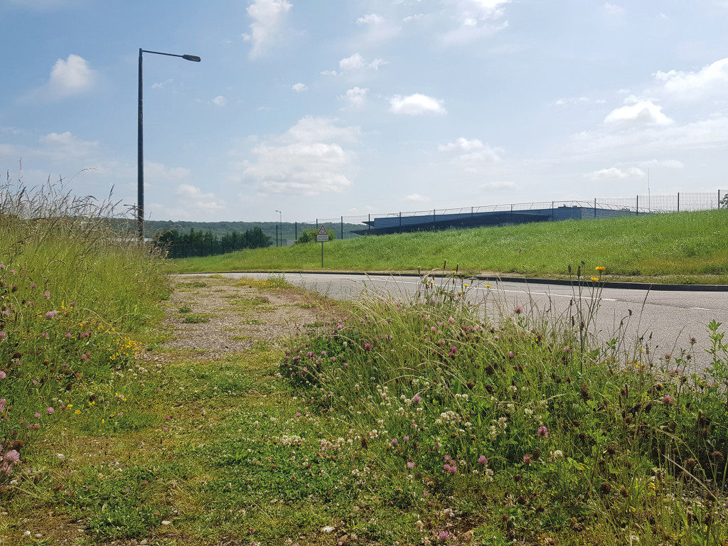 Espaces Verts Gestion Différenciée Tonte Biodiversité Voirie Ma ville Respire