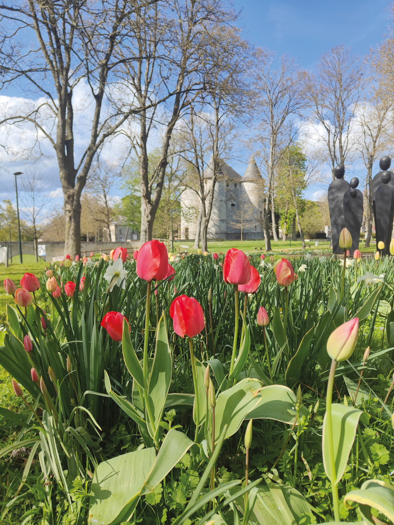 Grand Angle Tourelles