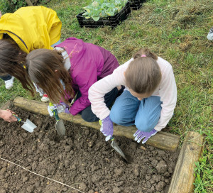 Démocratie Participative Potager Jardins Familiaux CME