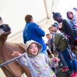 34953061032_9fe1bfa99e_o