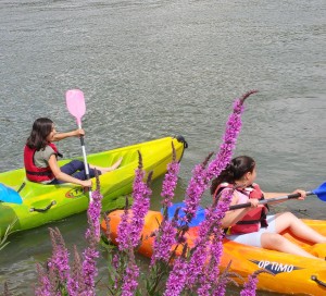 canoe kayak vernon transat