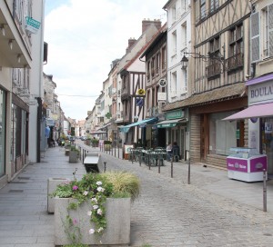 Charmante petite rue pavée au cœur de Vernon, la mairie souhaitait mettre en valeur ce lieu en le rendant totalement piéton de 10h à 19h. Ainsi, chaque dimanche du mois d’août, les Vernonnais et les touristes pourront profiter de cet endroit ombragé, organisé en grande terrasse pour flâner en paix, bouquiner et partager un verre entre amis. « No car, rue Carnot ! », sera une opportunité de découvrir ou redécouvrir le patrimoine et de profiter de la ruelle. A l’exception du fleuriste qui sera fermé l’après-midi, la boulangerie, A l’Occas Bouquiniste, Délice’Doy, Da Mod, Léonidas et Pamukkalé seront ouverts pour l’occasion. Pour rendre l’événement plus dynamique, un groupe de musique se produira chaque dimanche à la terrasse du bar Le Parisien.