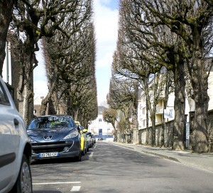 25960762116_7ffe51ee8f_k-2