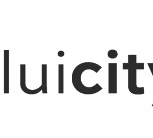 logo fluicity