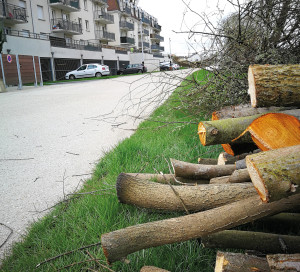 Chemins de Seine On fait place nette !