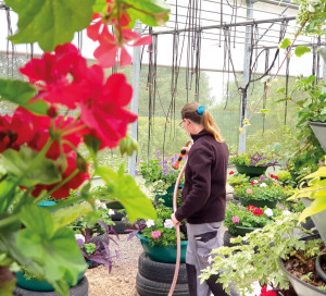 Le défi pour les jardiniers ? Une fleurissement naturel qui décore toute l’année, quelle que soit la météo.