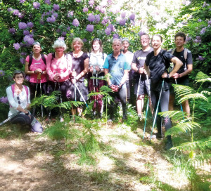 La marche nordique : une discipline très complète associée au bien-être