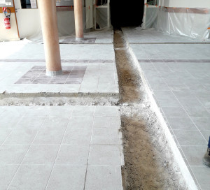 Dépollution Le collège Ariane respire mieux