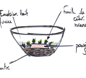LE SANDRE D’ÎLE DE FRANCE Risotto d’épeautre / Emulsion lait d’avoine / Céleri branche